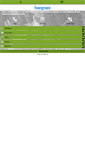 Mobile Screenshot of evergreenpros.com